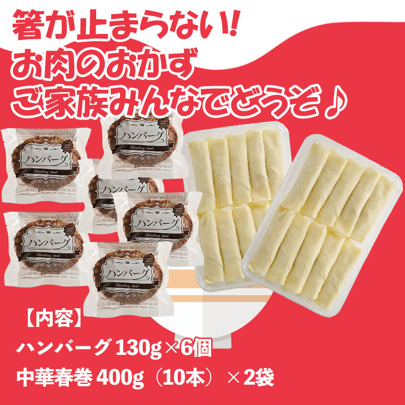 【ご飯のおともシリーズ】　米久のハンバーグ＆中華春巻セット【送料無料】2