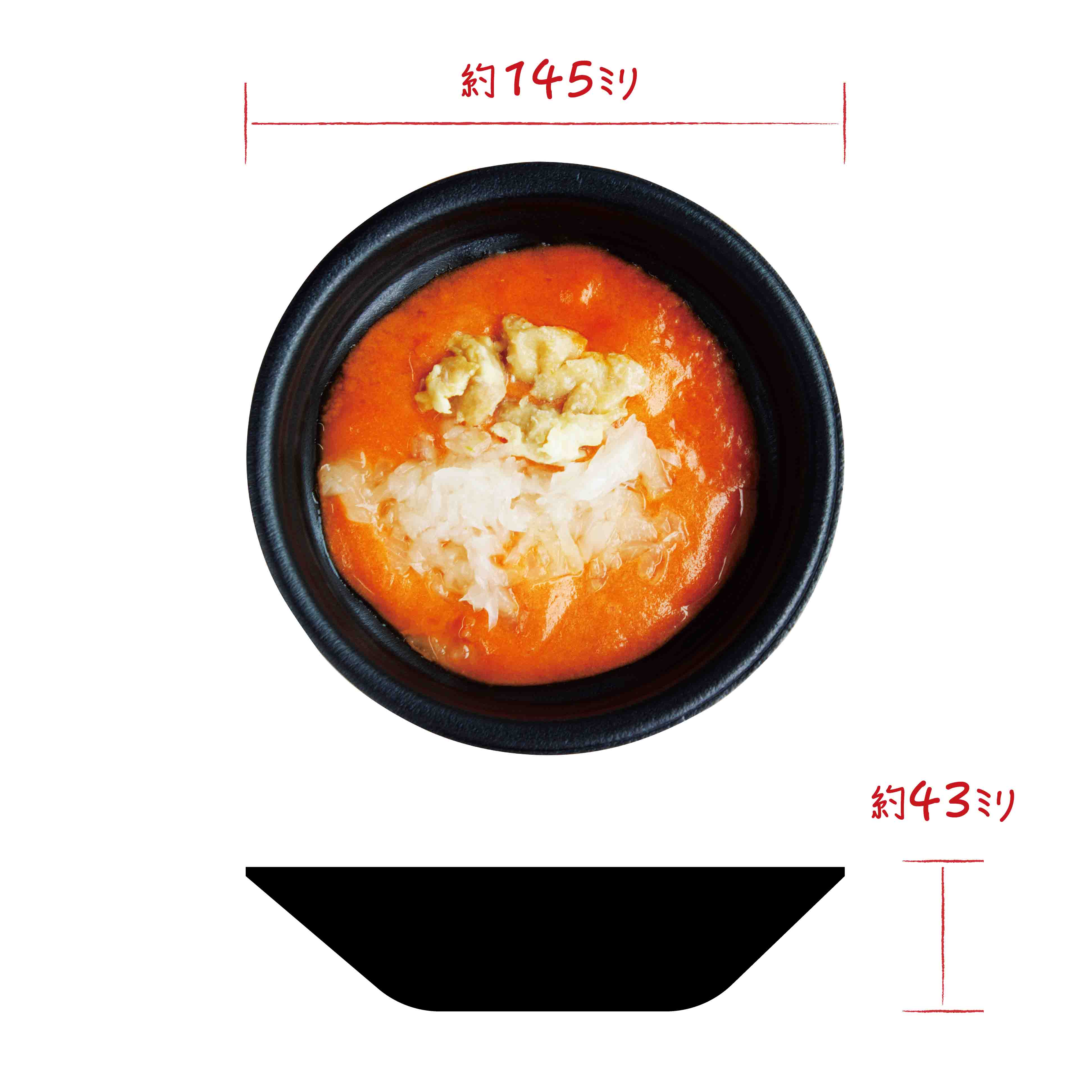 ON Spoon玉ねぎと鶏肉のトマトシチュー