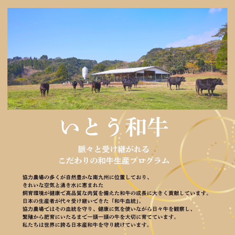 いとう和牛のビーフカレー