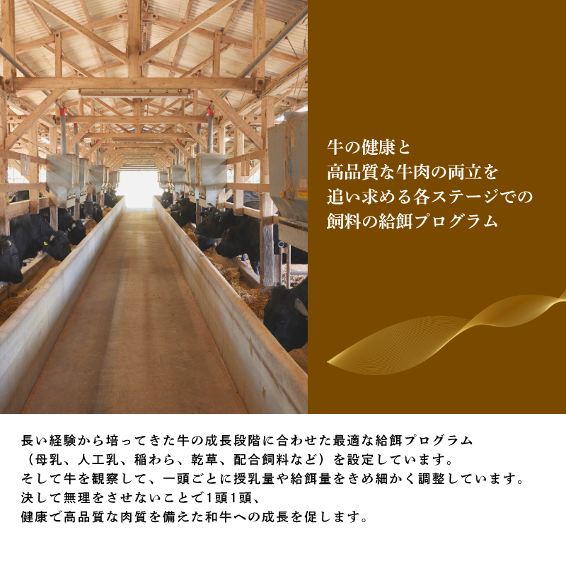 いとう和牛のビーフカレー