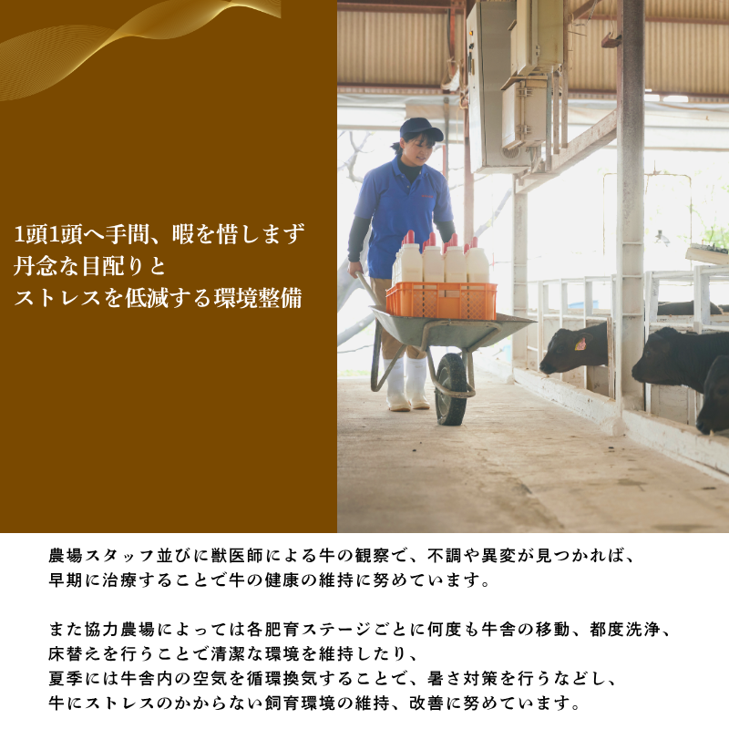 いとう和牛のビーフカレー